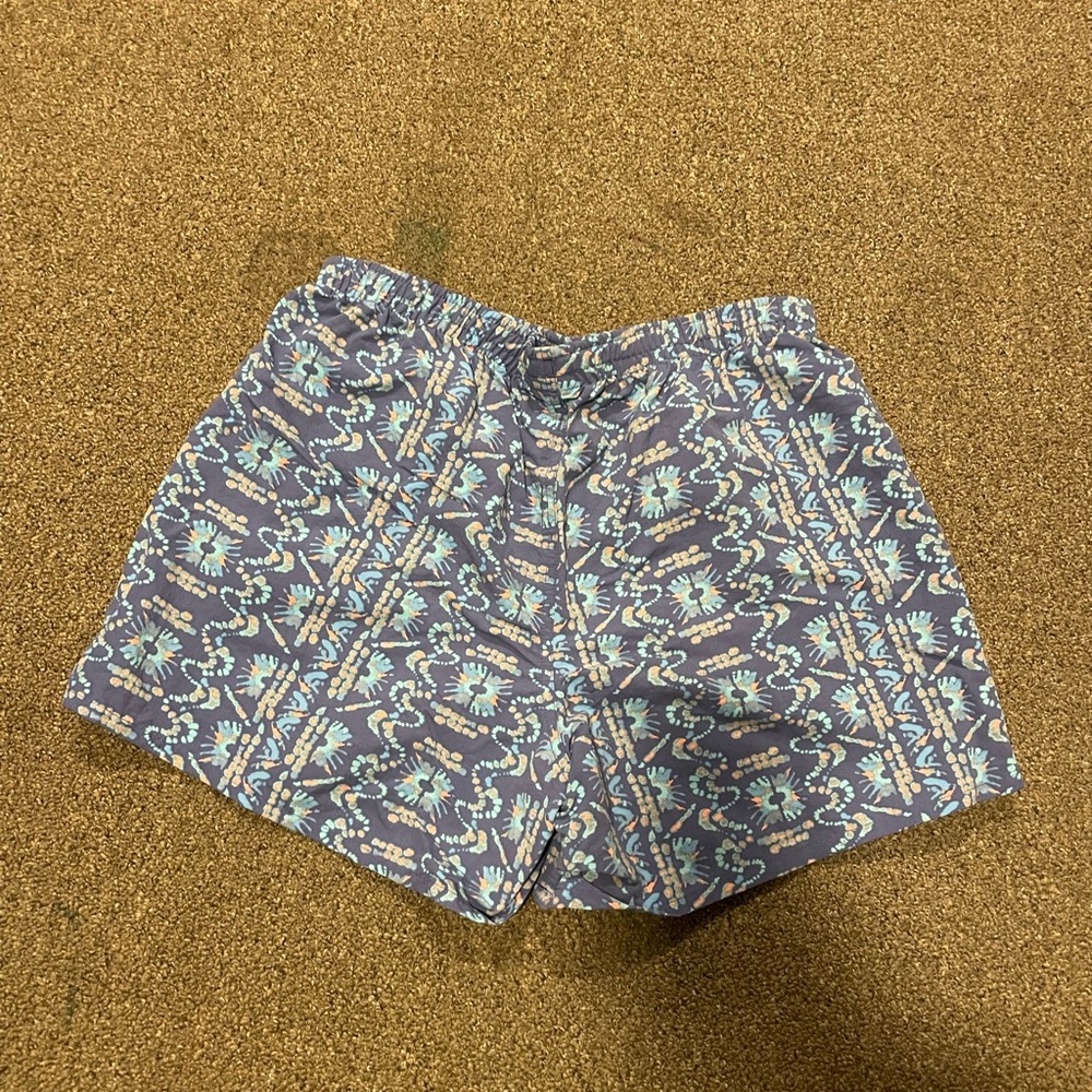 Patagonia baggie shorts